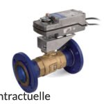 Johnson Controls Vanne VG12